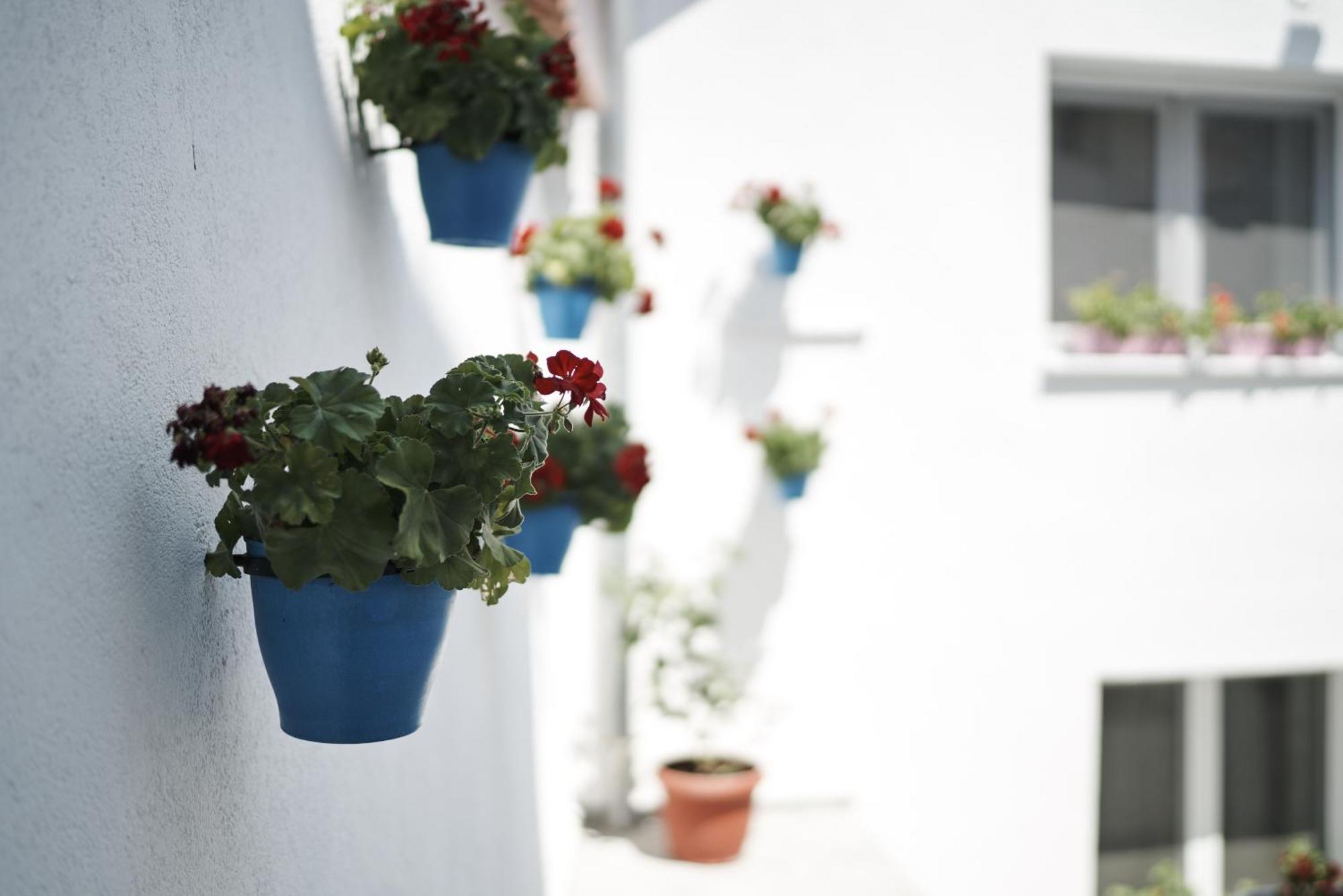 Pansion Rose Hotel Mostar Exterior photo